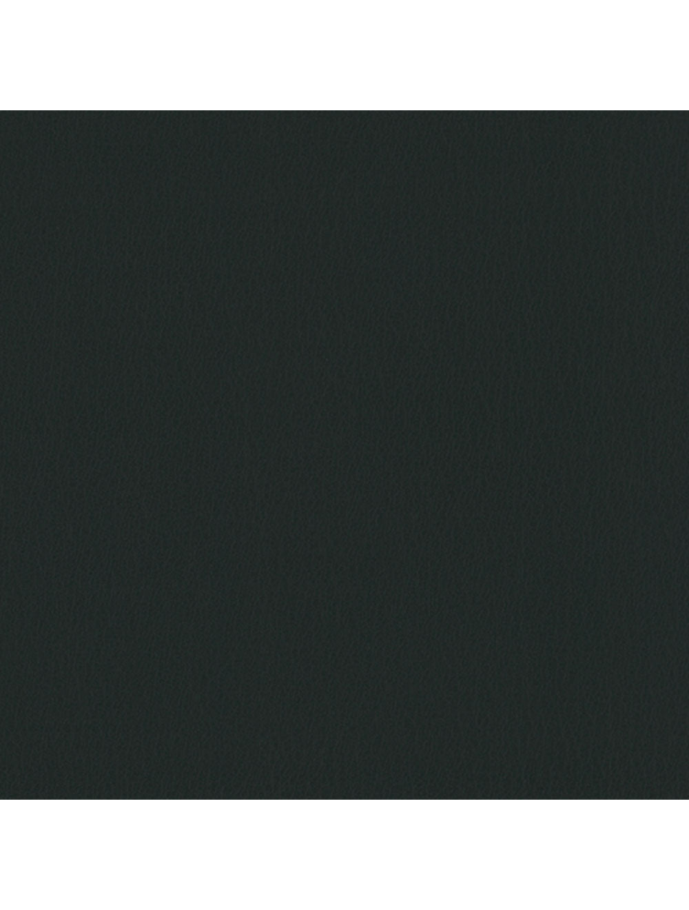 Meramodería de material verde de la botella de Tokio