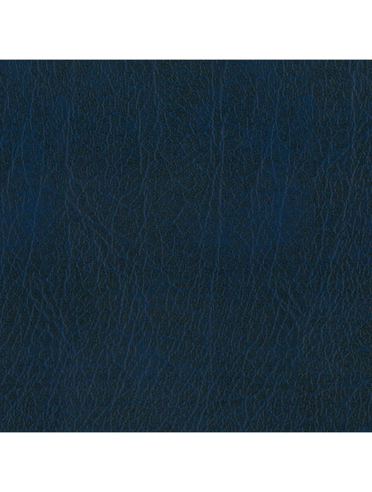 Swatch de material de la Marina de Nueva Delhi
