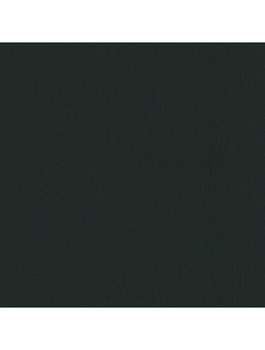 Meramodería de material verde de la botella de Tokio