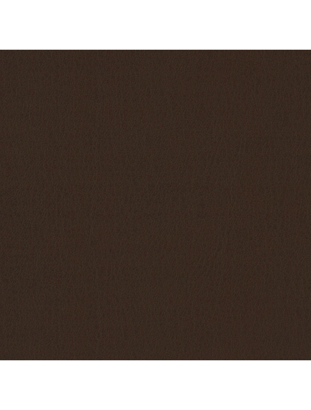 Muestra de material de chocolate de Tokio