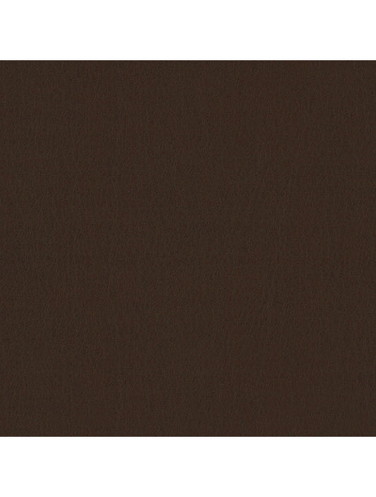 Muestra de material de chocolate de Tokio