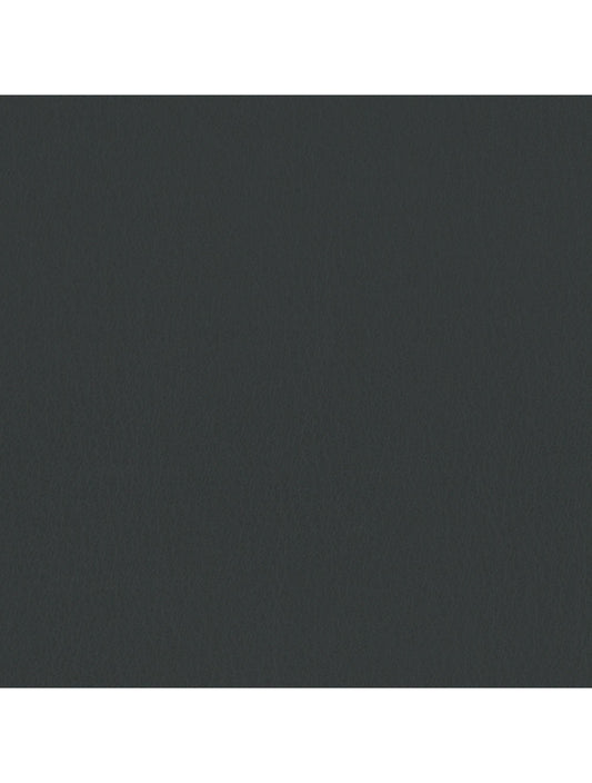 Muestra de material gunmetal de Tokio