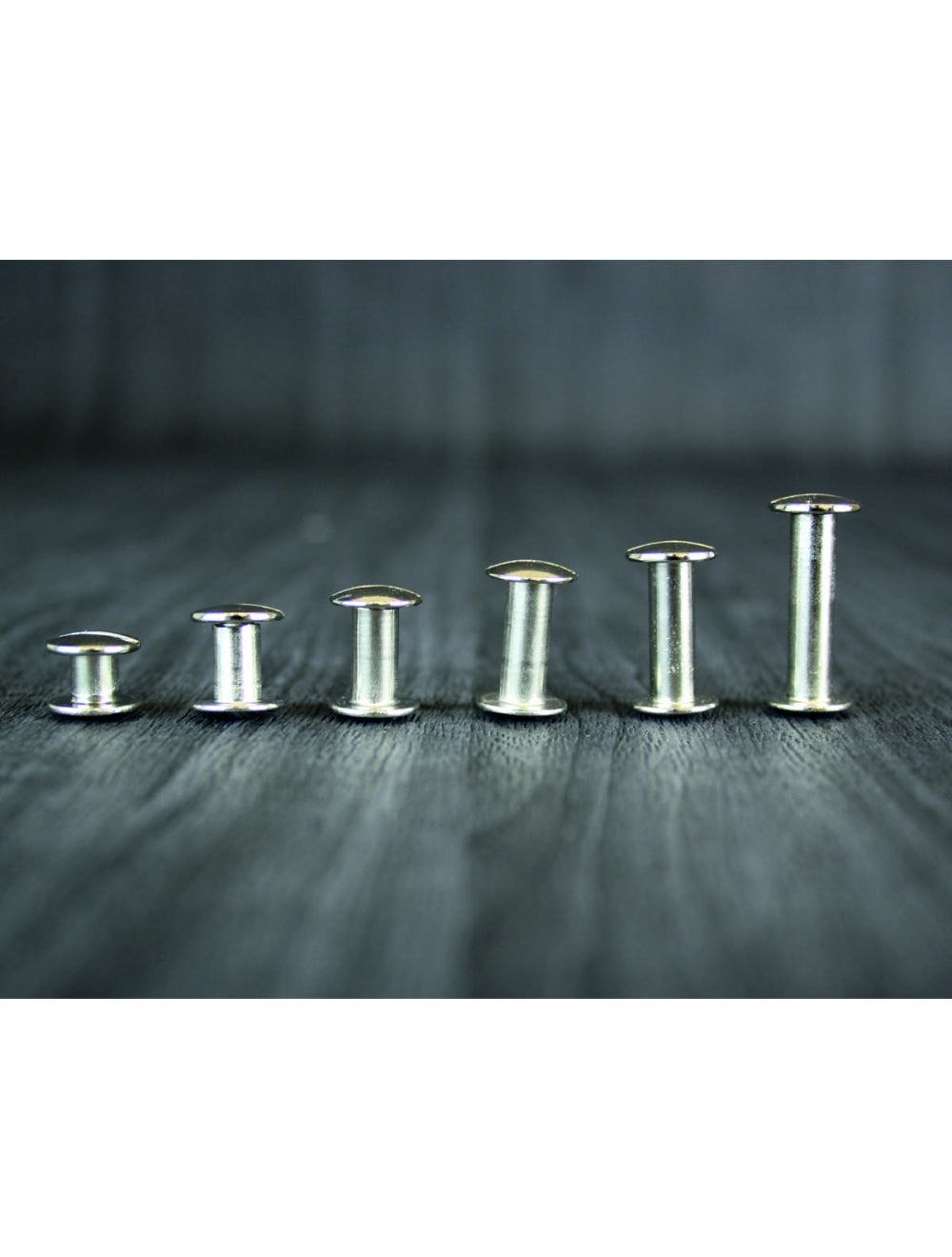 Color plateado de 10 mm de tornillo