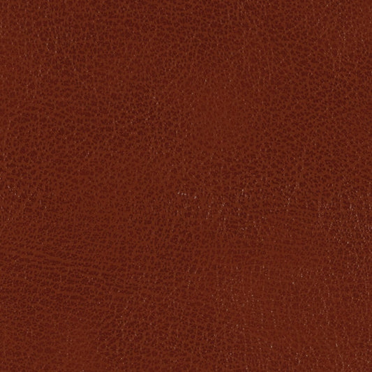 Swatch de material de Edimburgo Cuero