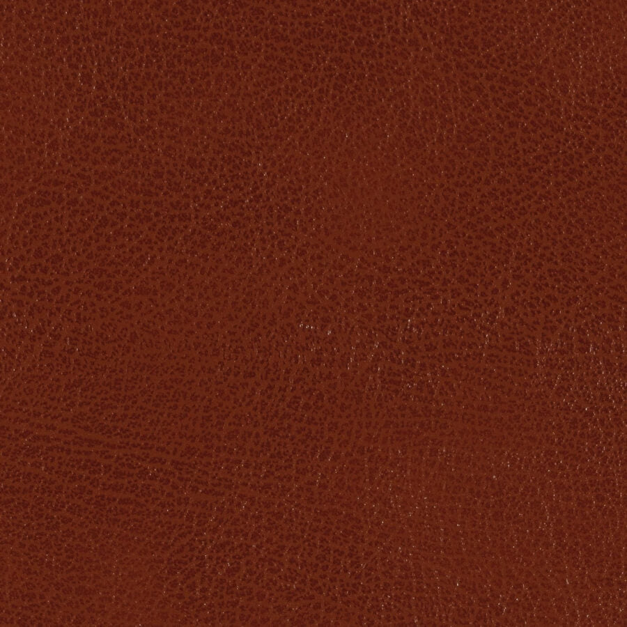 Swatch de material de Edimburgo Cuero